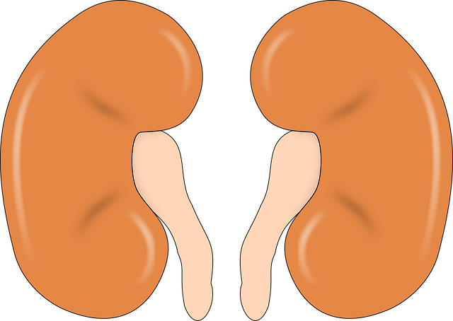Human Resources Documents