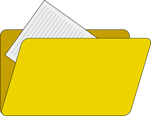 Intellectual Property Documents