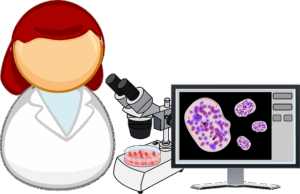 laboratory-reports-and-scientific-data-640x480-78113841.png