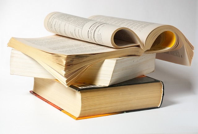Seamless Document Translation for Global Study Success