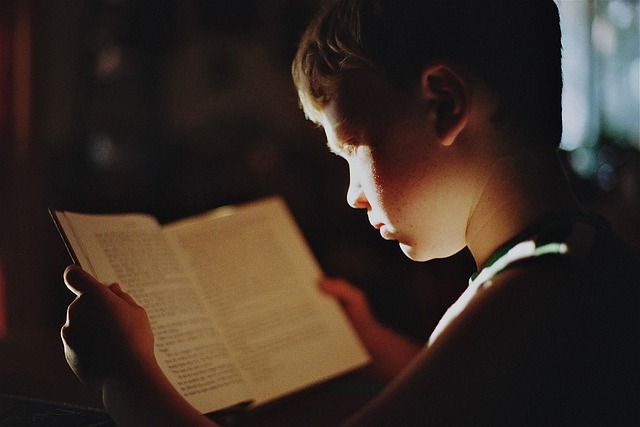 Cultivating Global Trust: Accurate Translations for Study Abroad Success