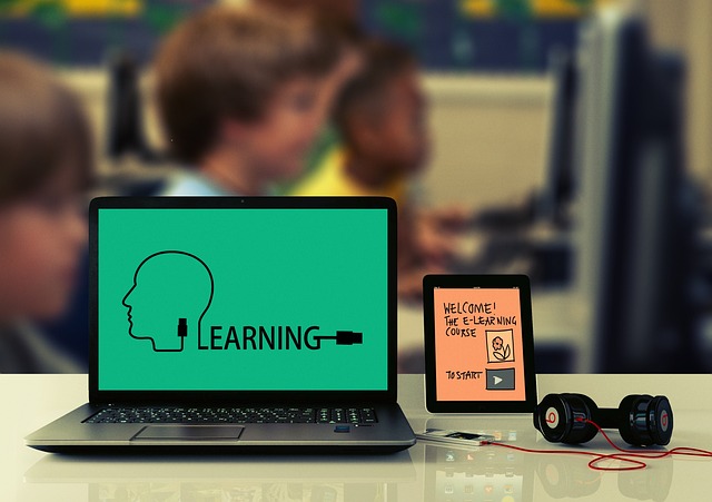 Training Manuals and E-learning Materials