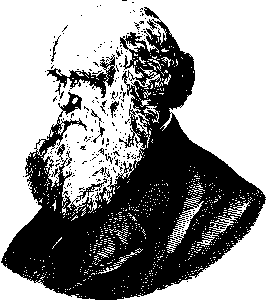 academic-appeals-or-petitions-640x480-67849848.png