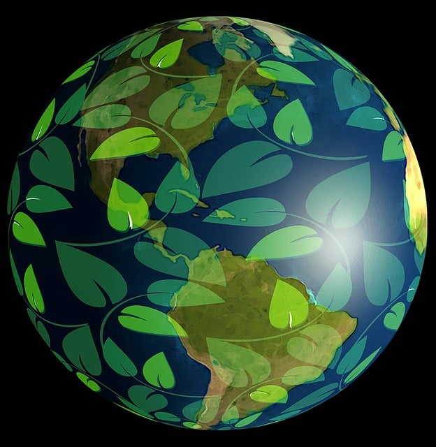 Environmental and Social Responsibility Reports