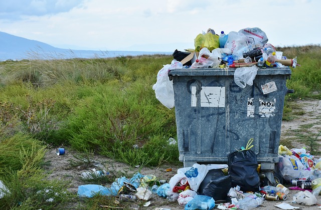 Environmental and Social Responsibility Reports