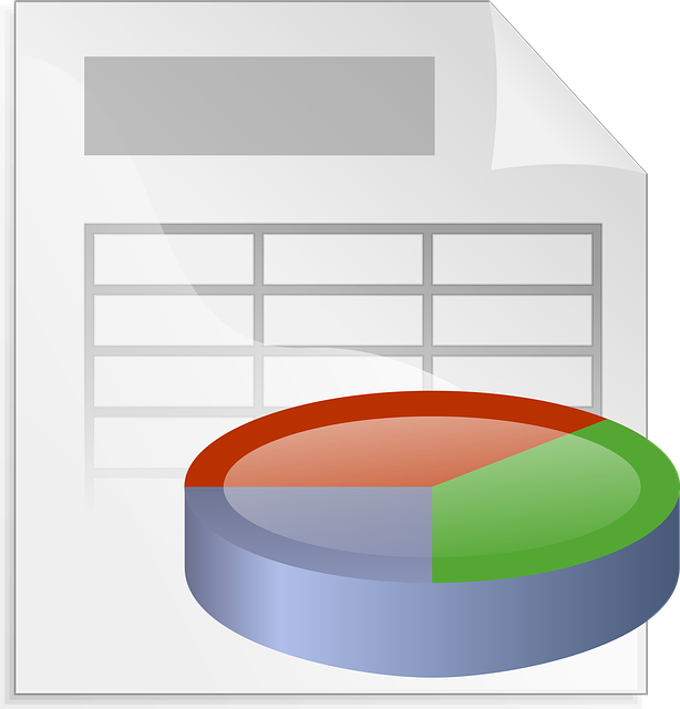 Financial Audit Reports