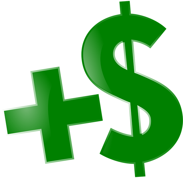Financial Audit Reports