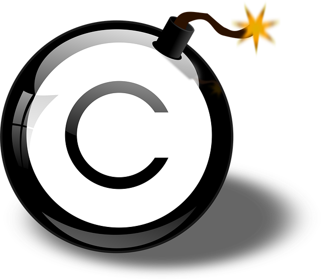 Intellectual Property Documents