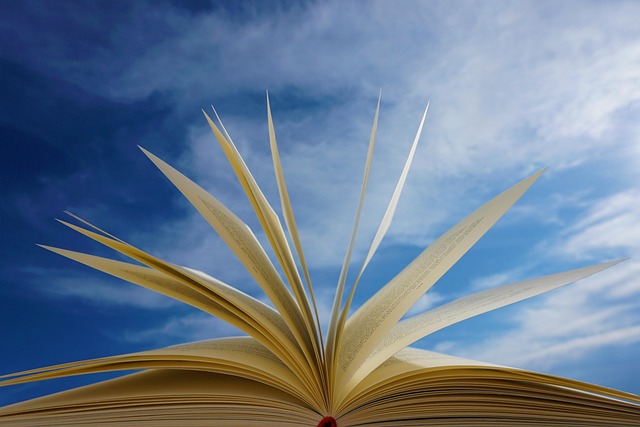 Training Manuals and E-learning Materials