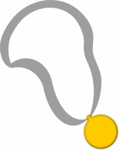 academic-awards-and-honors-640x480-35089370.png