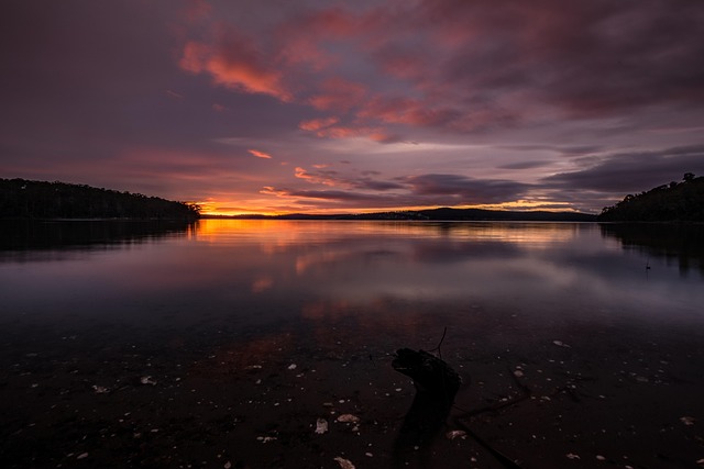 Clinical Trial Protocols