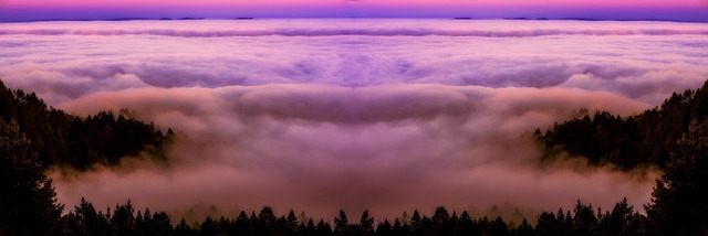 Corporate Bylaws and Articles of Incorporation