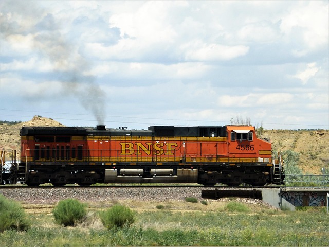 Diagnostic Test Results