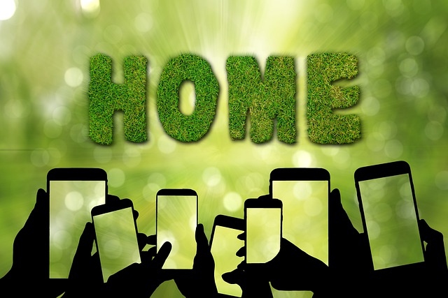 Environmental and Social Responsibility Reports