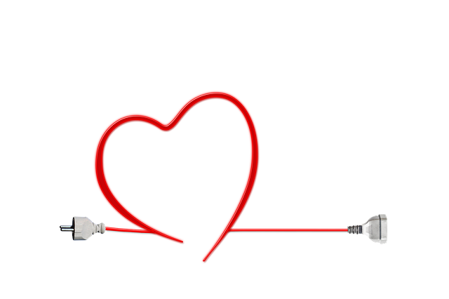 Environmental and Social Responsibility Reports