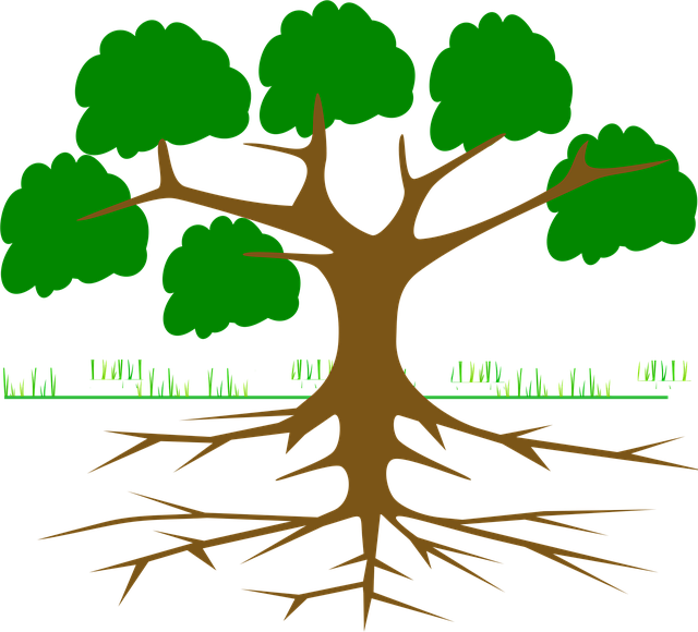 Environmental Compliance Documents