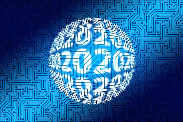 Financial Statements