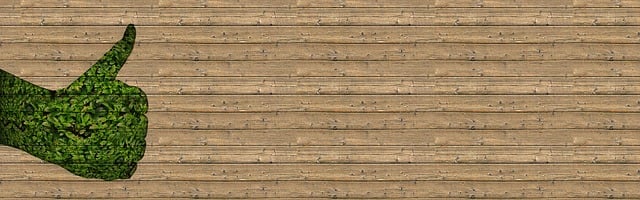 Accurate Consent Translations: Safeguarding Patient Rights in UK Healthcare