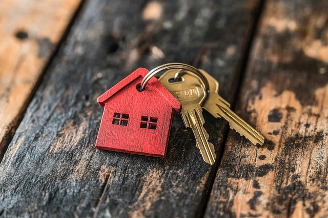 Intellectual Property