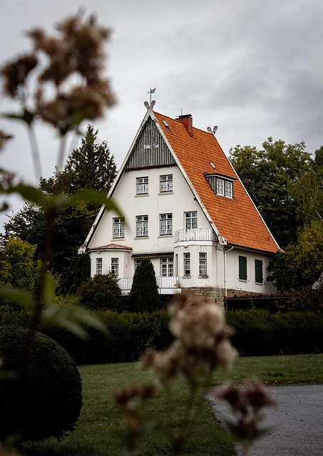 Intellectual Property Documents