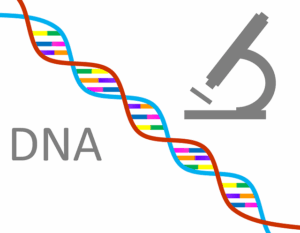 laboratory-reports-and-scientific-data-640x480-80605232.png
