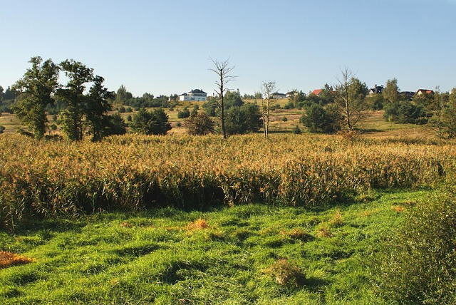 Licenses and Permits