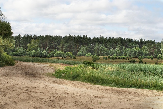 Licenses and Permits