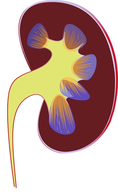 medical