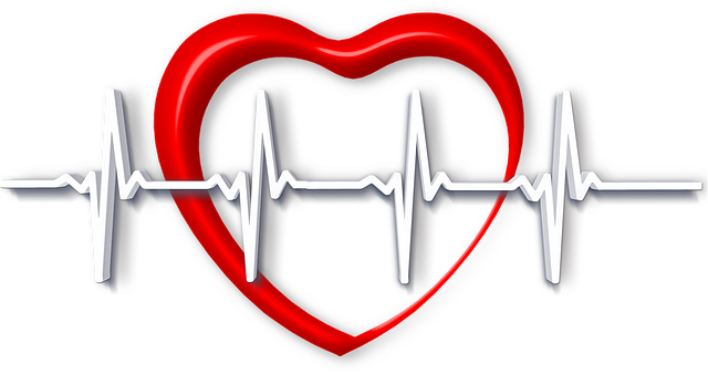 Medical Licensing Examination Materials