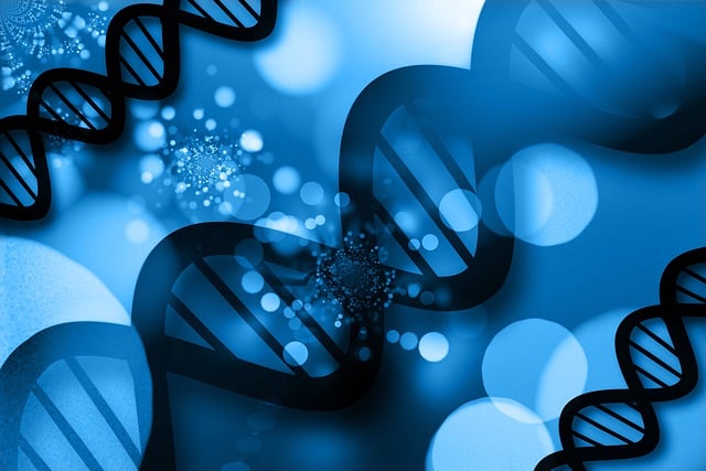 Medical Marketing Materials