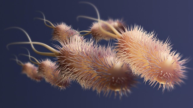 Medical Research Papers