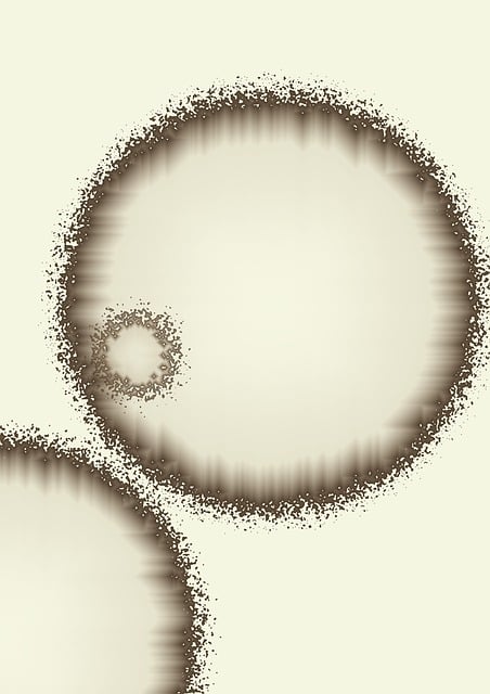 Patient Discharge Summaries