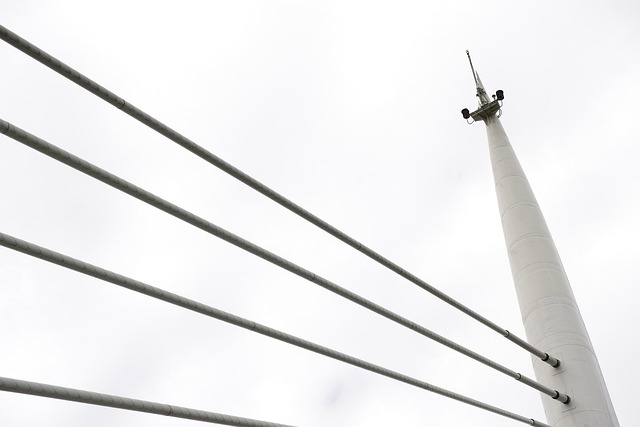 Patient Discharge Summaries