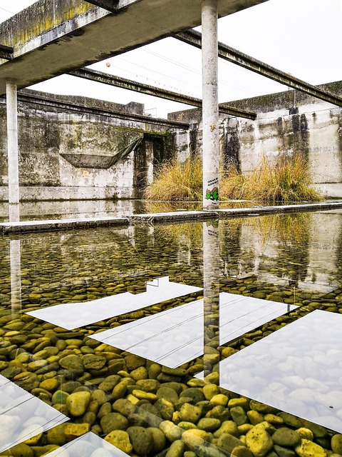 Physician’s Treatment Plans