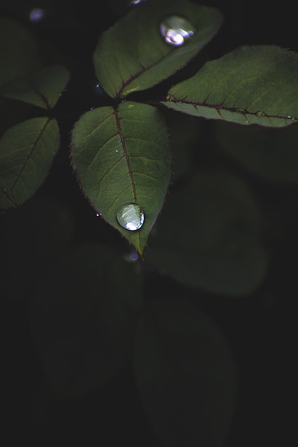 Product Information Leaflets