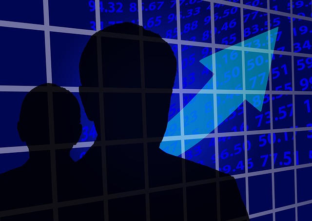 Profit and Loss Statements