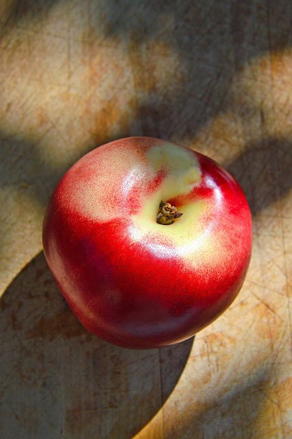 Prospectuses and Offering Memorandums