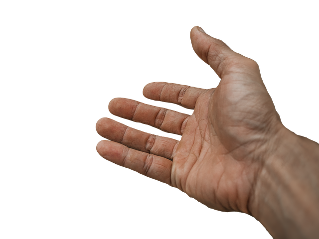 Prospectuses and Offering Memorandums