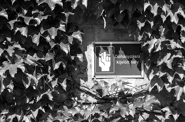 Public Health Reports