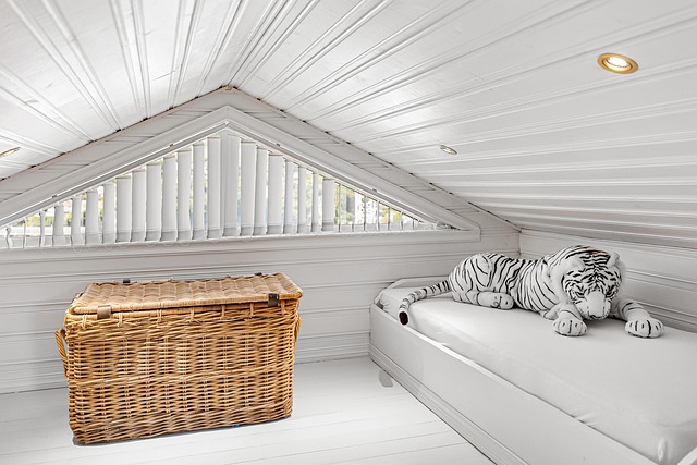 Real Estate Appraisals and Financial Documents