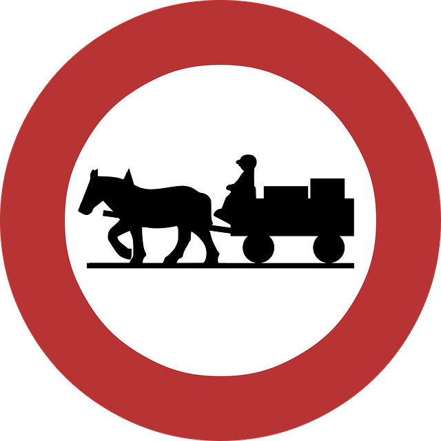 Regulatory Compliance Documentation