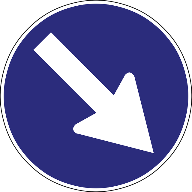 Regulatory Submission Documents