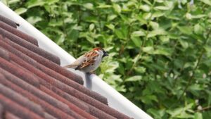 Global Business Growth: Translate Risk Assessments for Success