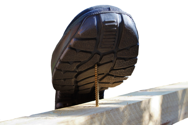 Risk Assessment Reports