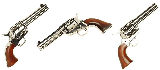 Risk Assessment Reports