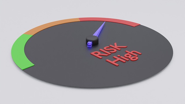 Risk Assessment Reports