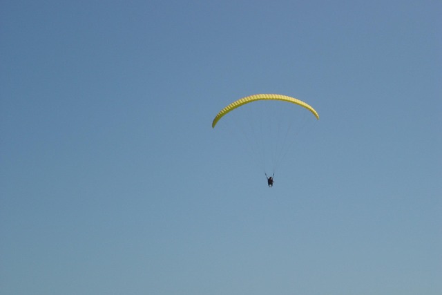 Risk Assessment Reports