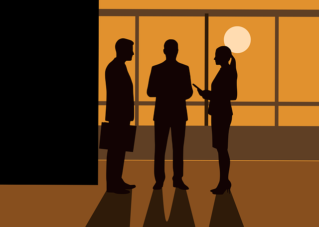 Shareholder Agreements