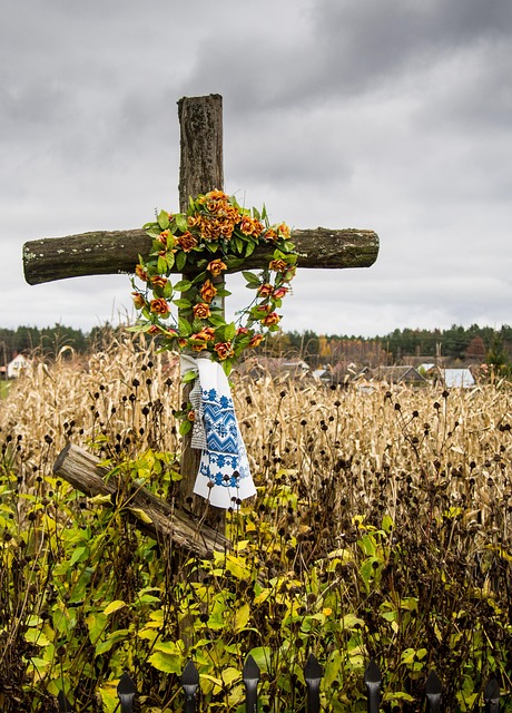 Shareholder Agreements