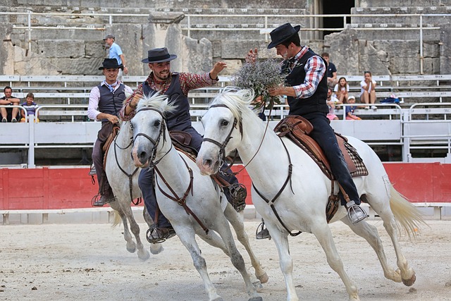 Technical Guidelines and Standards